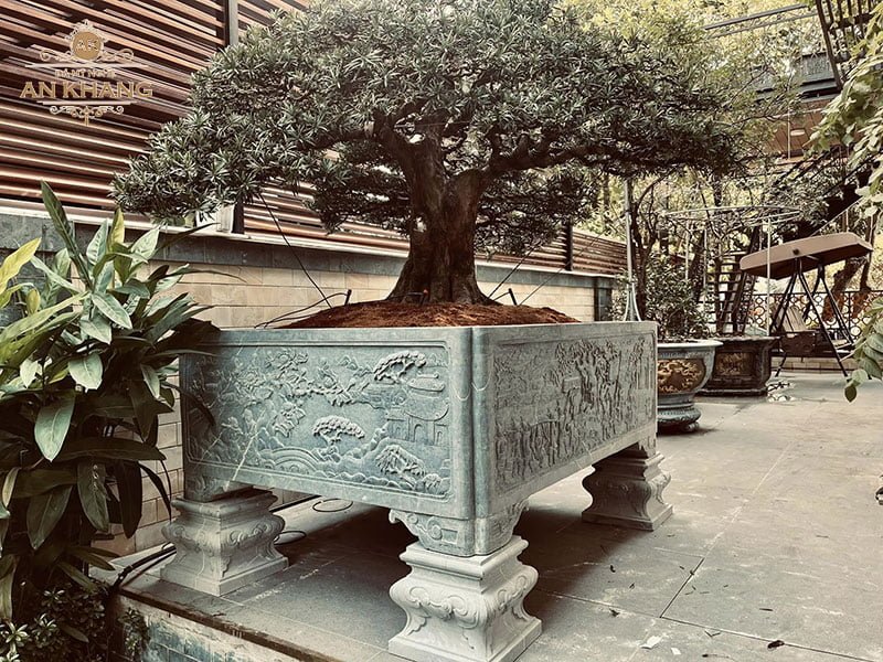 Trồng cây bonsai trong chậu đá